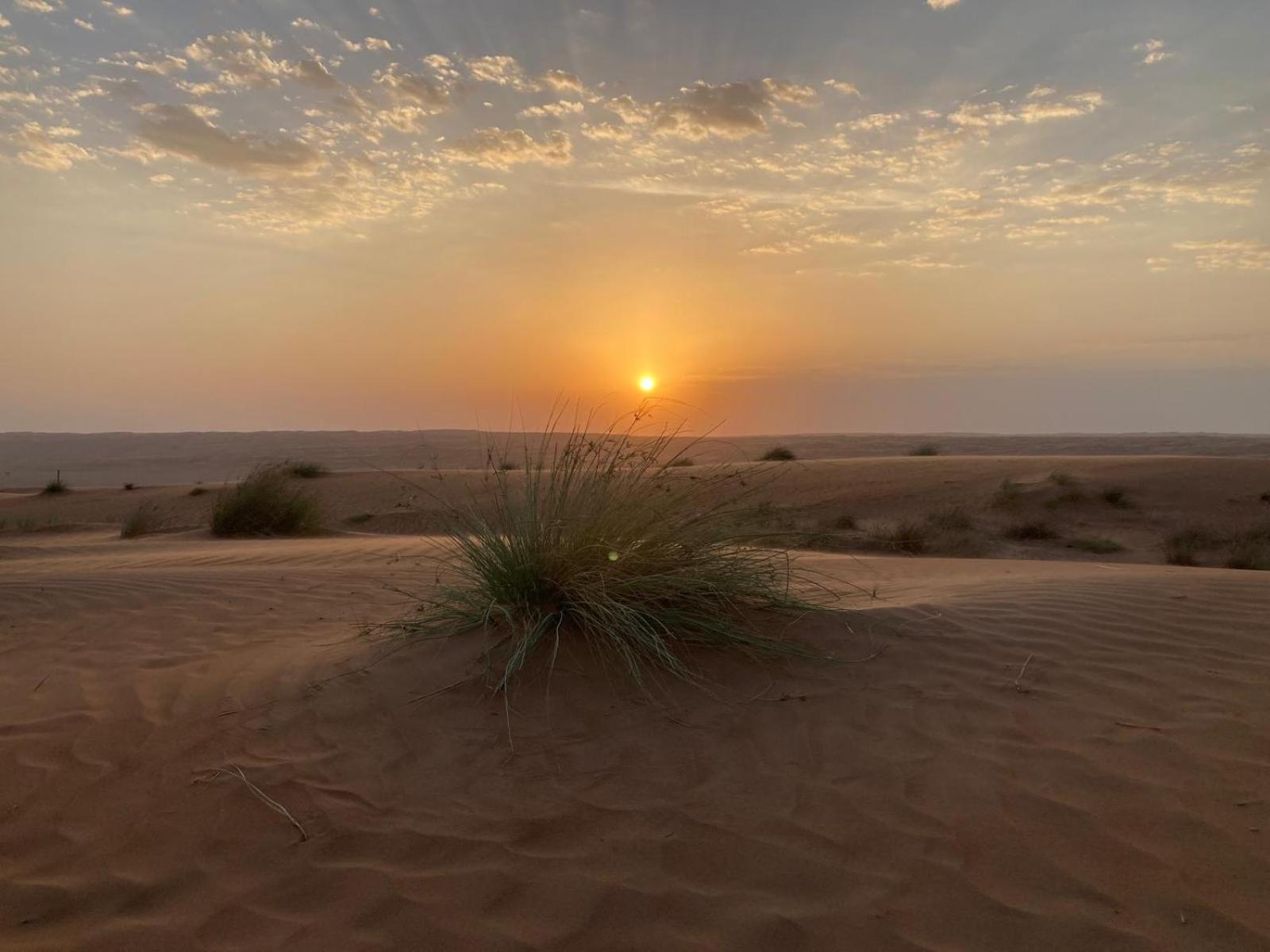 Desert Moments Camp Al Wasil Bagian luar foto